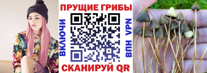 Галлюциногенные грибы ЛСД  Георгиевск 